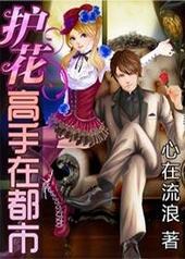 护花高手在都市电视剧免费观看